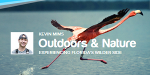 Outdoors & Nature Insider