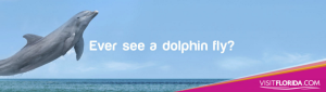 Florida Firsts digital billboard dolphin